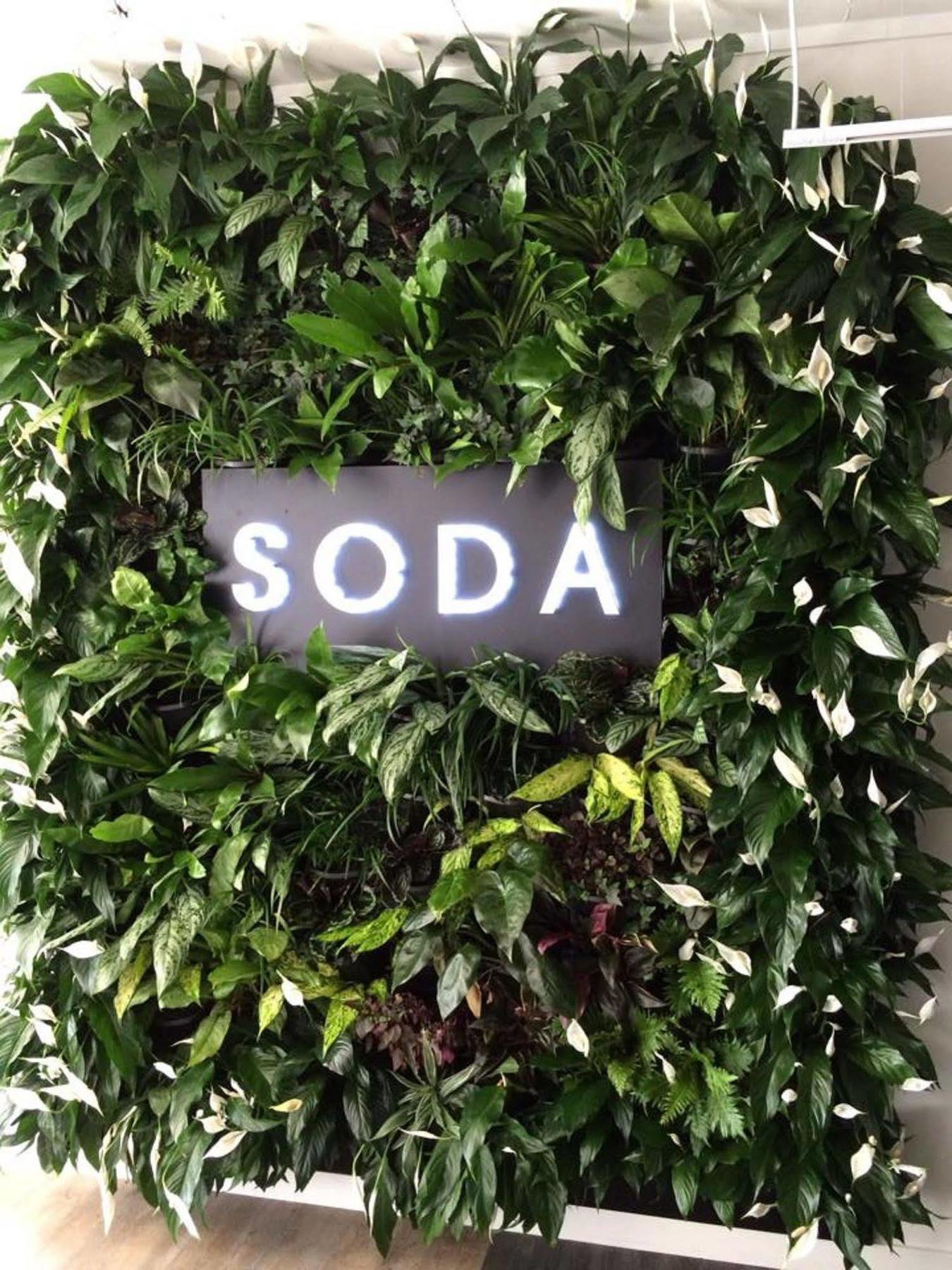 Soda Apartments By Cllix Brisbane Kültér fotó